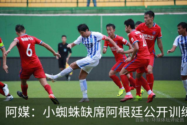 阿媒：小蜘蛛缺席阿根廷公开训练，他可能在第二场友谊赛中出场